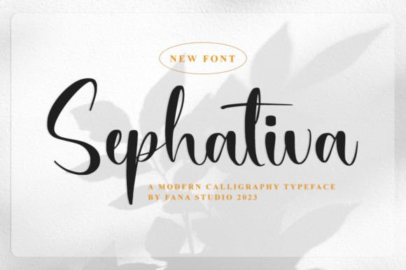 How Sephativa Transformed My Small Business Brand Identity